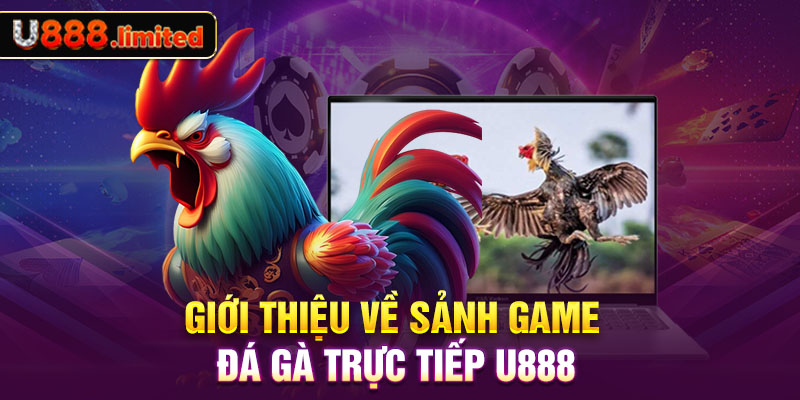 Giới thiệu về sảnh game đá gà trực tiếp U888