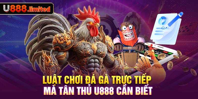 Luật chơi đá gà trực tiếp mà tân thủ U888 cần biết