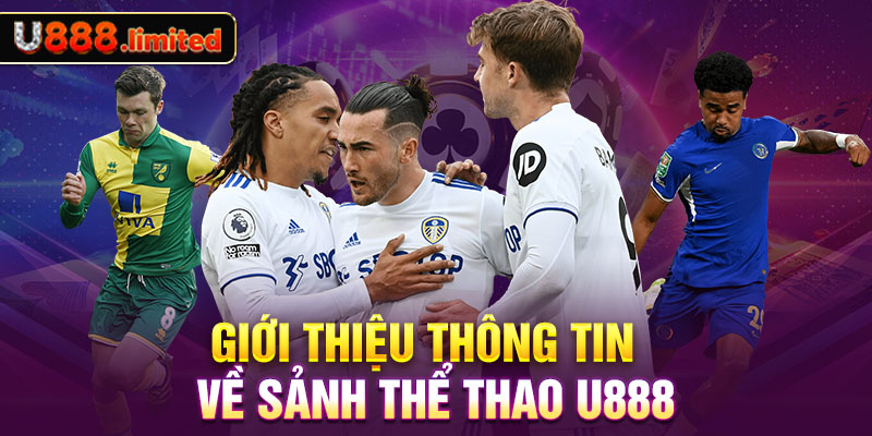 Giới thiệu thông tin về sảnh thể thao U888